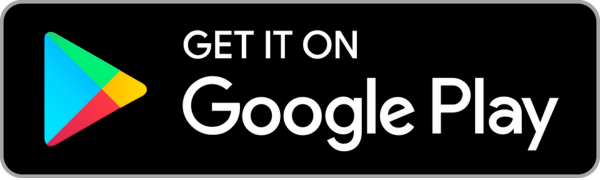 Google console logo